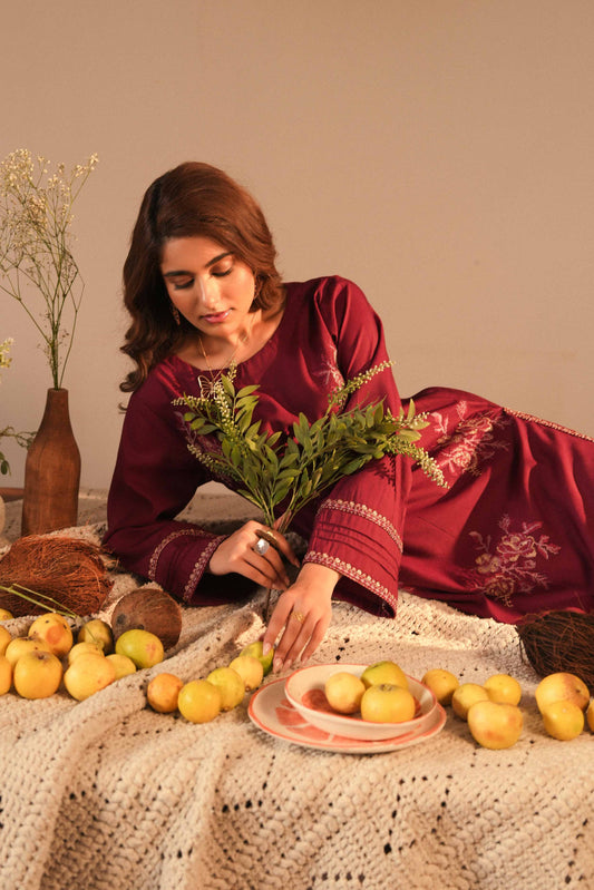 Kaya | Cotton Net Embroidered 2PC